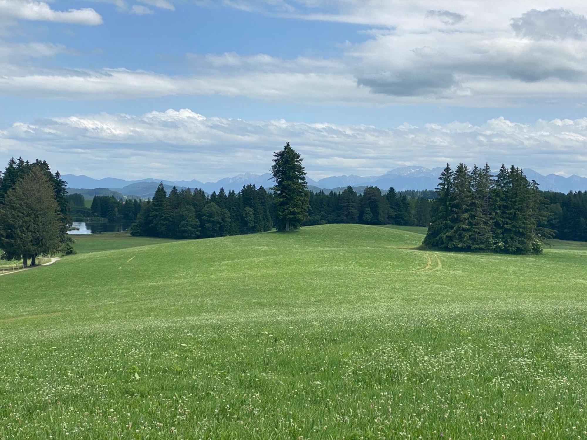 "Allgaeu-Herzl" Alpenchalet Fuer Zwei Ruckholz Buitenkant foto